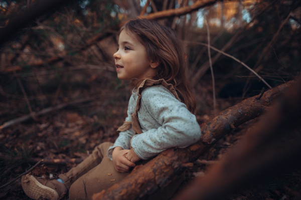 An autumn portrait of happy little girl sitting on tree trunk outdoors in forest.