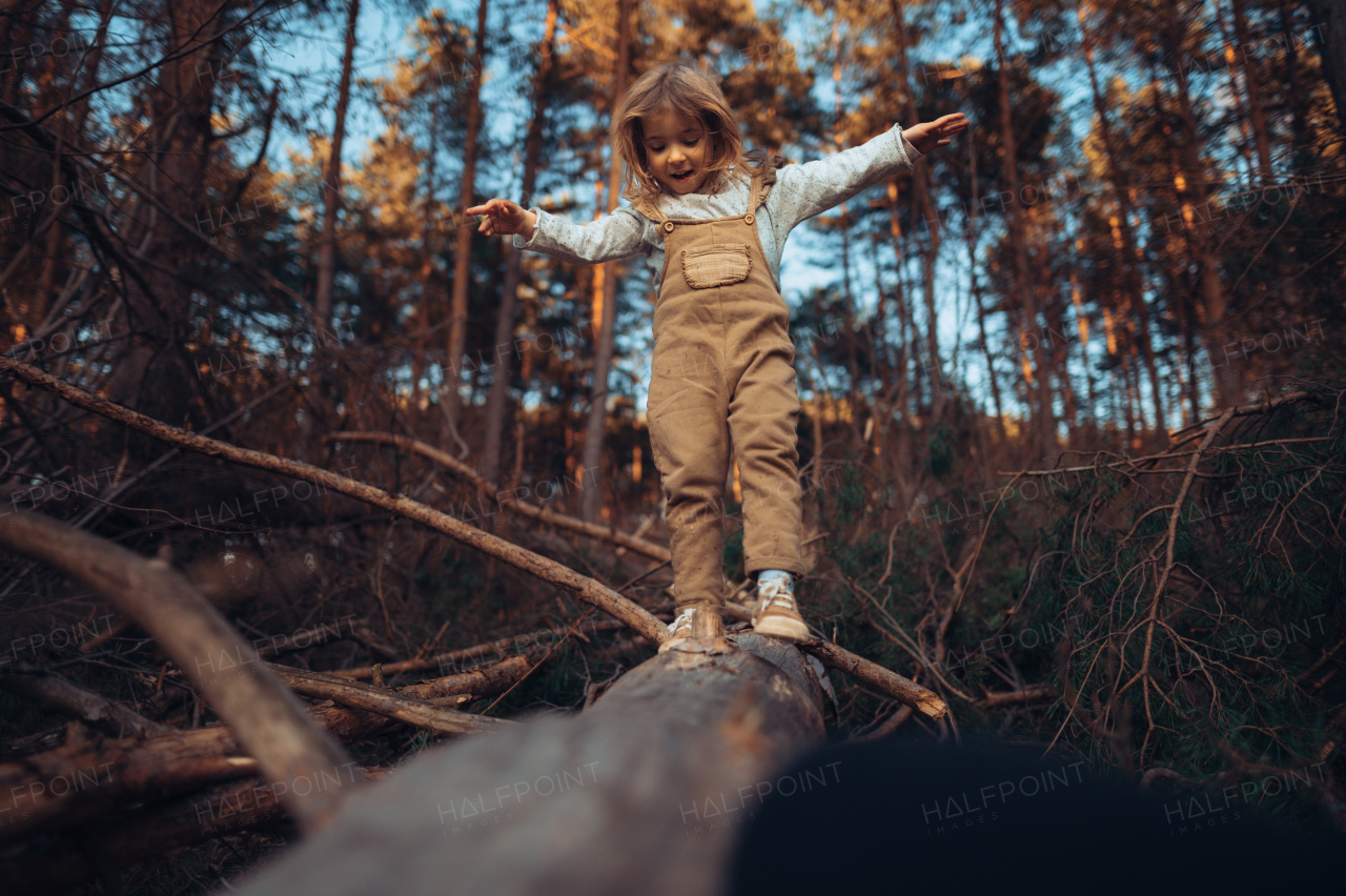 An autumn portrait of happy little girl balancing on tree trunk with arms outstretched outdoors in forest.