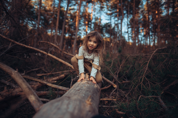 An autumn portrait of happy little girl balancing on tree trunk outdoors in forest, looking at camera.