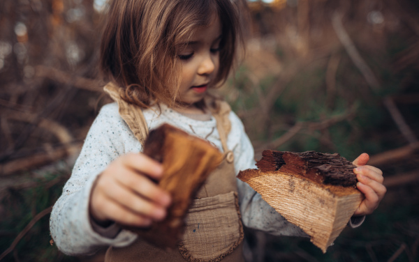 A close-up of little girl exploring nature outdoors in autumn forest.