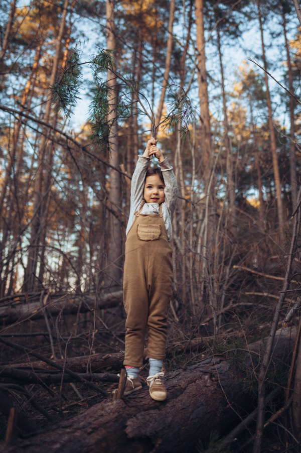 An autumn portrait of happy little girl balancing on tree trunk with raised arms outdoors in forest.