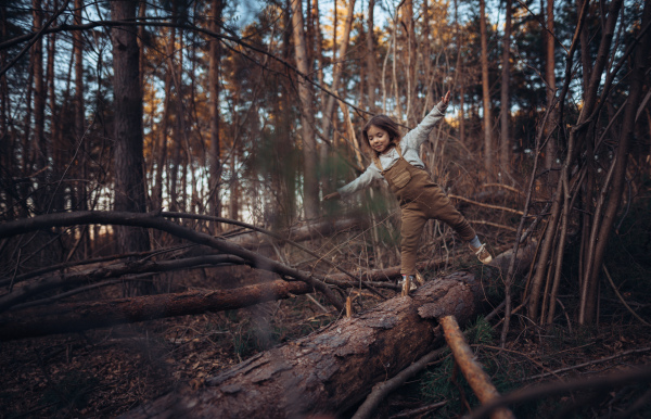 An autumn portrait of happy little girl balancing on tree trunk with arms outstretched outdoors in forest.