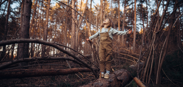 An autumn portrait of happy little girl standing on tree trunk with face up and arms outstretched outdoors in forest.