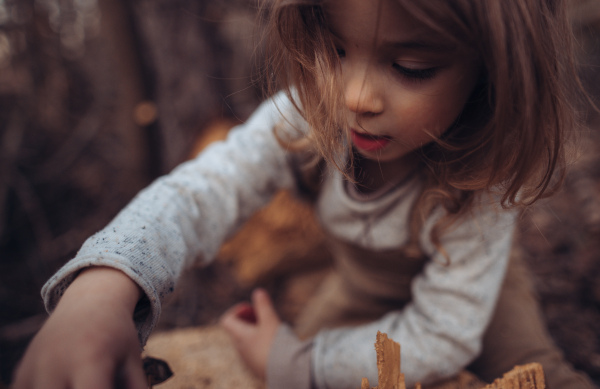 A close-up of little girl exploring nature outdoors in autumn forest.