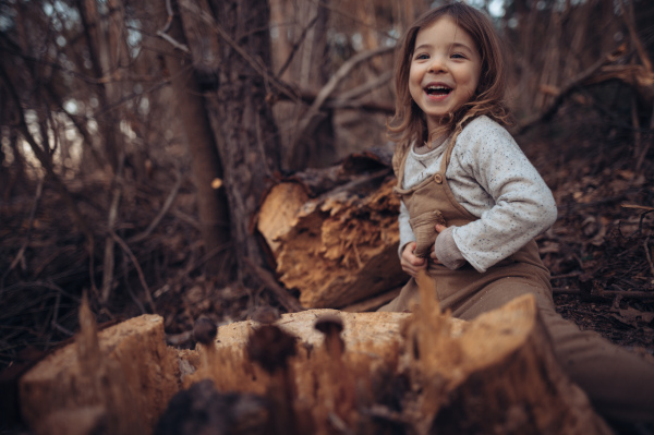 An autumn portrait of happy little girl sitting on tree trunk outdoors in forest.