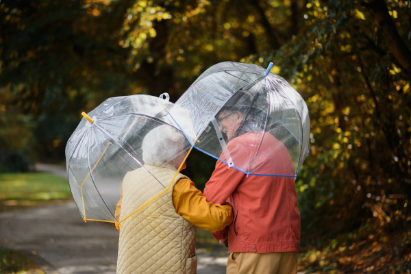 Rear view of senior couple walking with umbrellas in a park together.