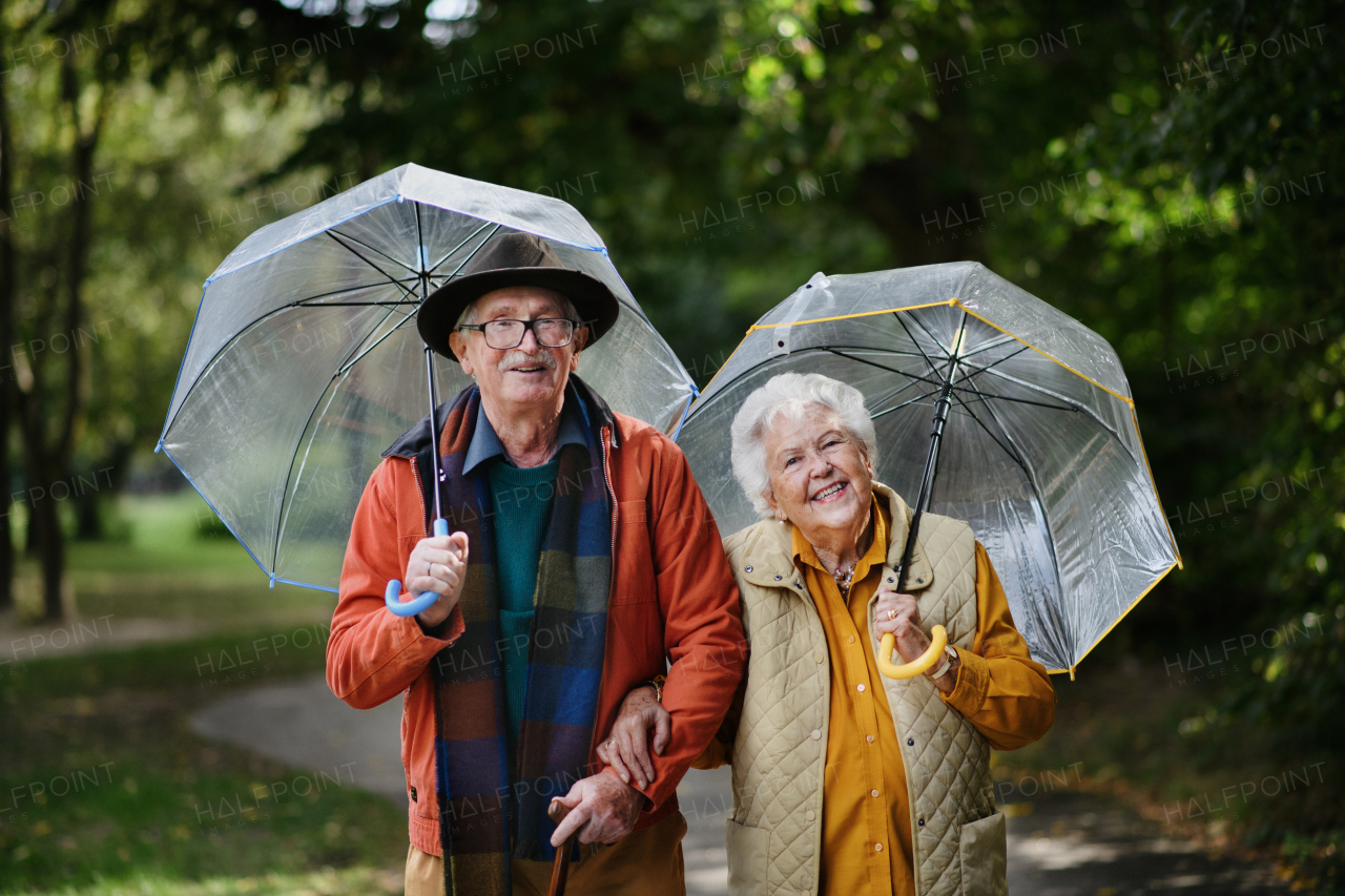 Happy senior couple walking with umbrellas in a park together.