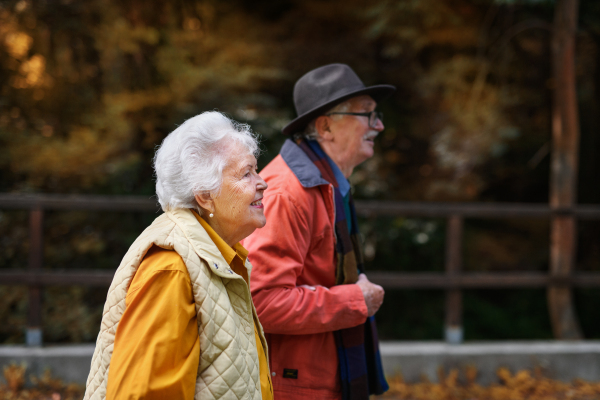 Happy senior couple in autumn clothes walking in park together.