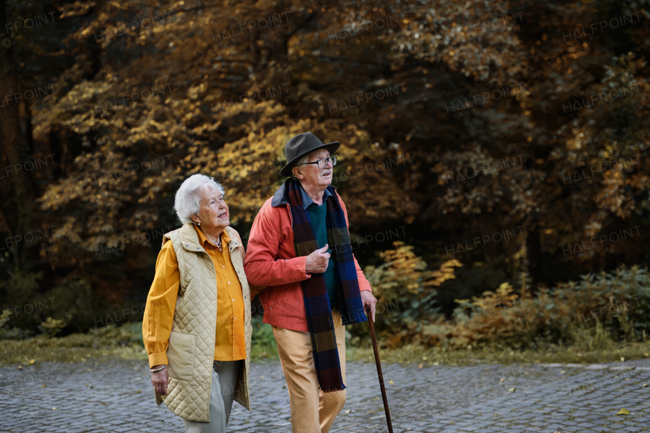 Happy senior couple in autumn clothes walking in park together.