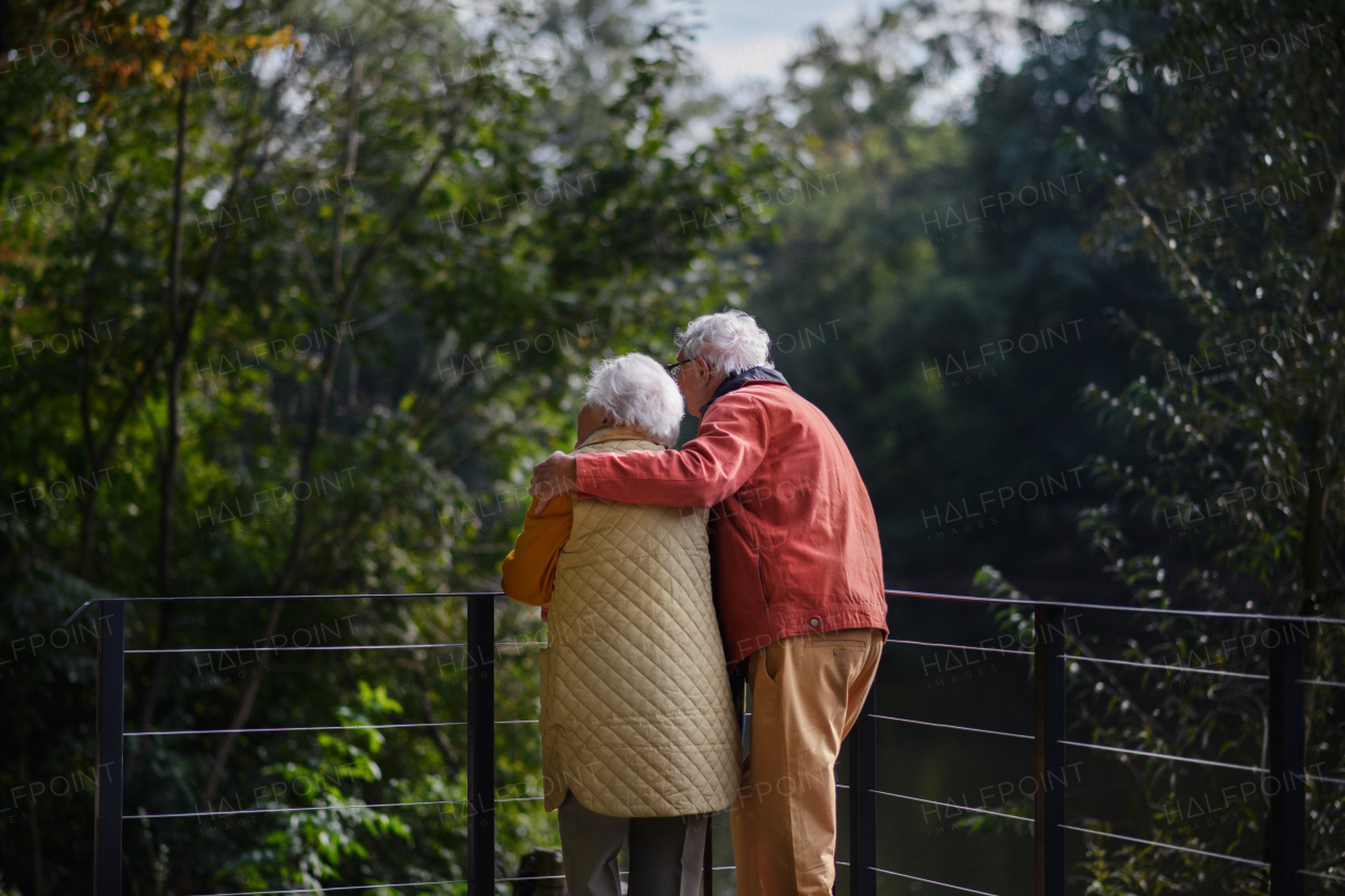 Rear view of senior couple at autumn walk near a lake, having break.