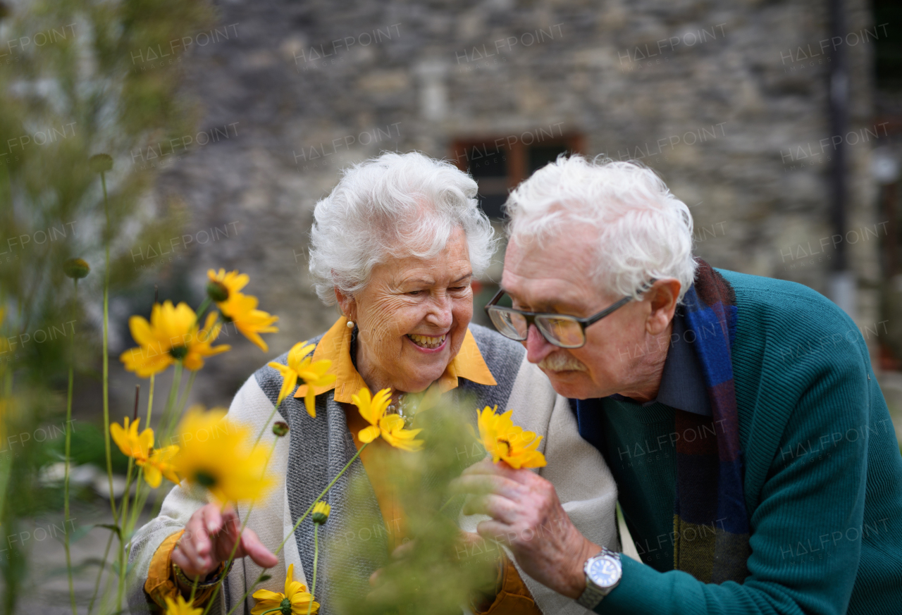 Happy senior couple at autumn city walk, posing with the flowers. Senior man smelling yellow flowers.