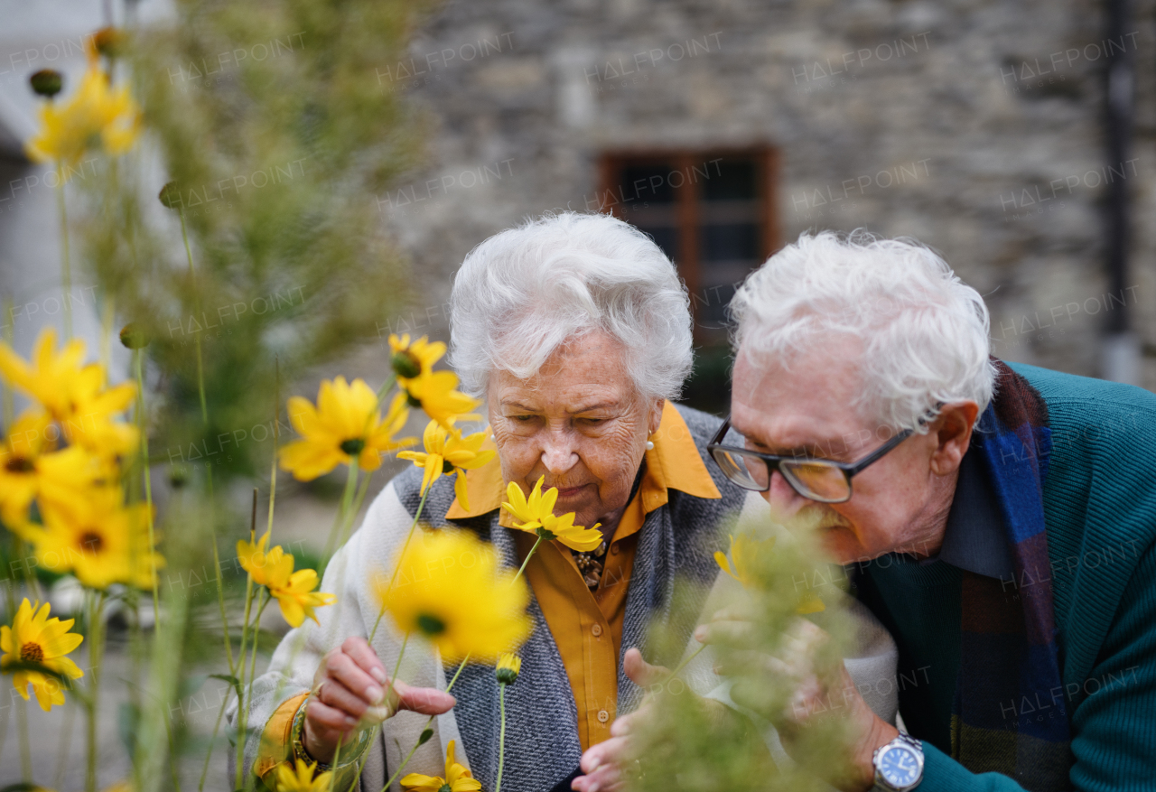 Happy senior couple at autumn city walk, posing with the flowers.