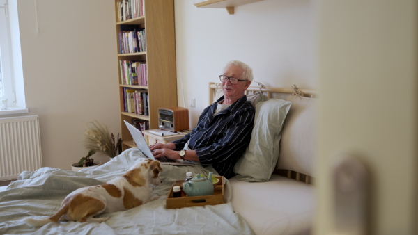 Video of senior man enjoying breakfast in a bed while watching something o laptop. Senior man with dog.