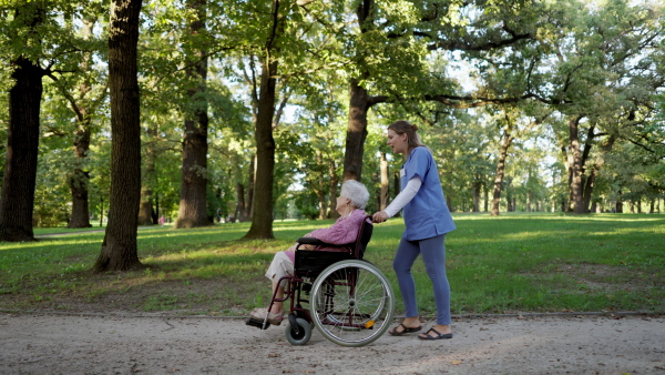 Video of a nurse on a walk in a public park with one of the disabled patients.