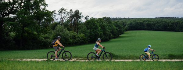 A young family with little child riding bicycles on path in park in summer.