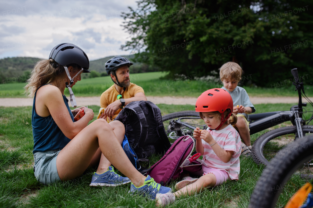 A young family with little children resting after bike ride, sitting on grass in park in summer.