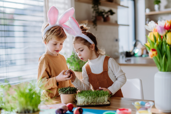 Happy siblings looking at growing plant after decorating easter eggs.