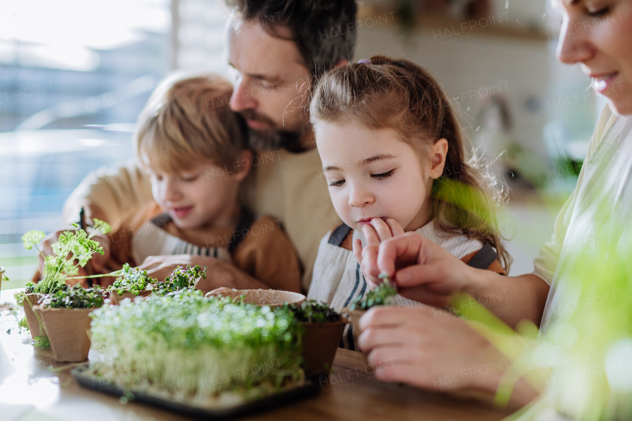 Happy family planting herbs together during spring.