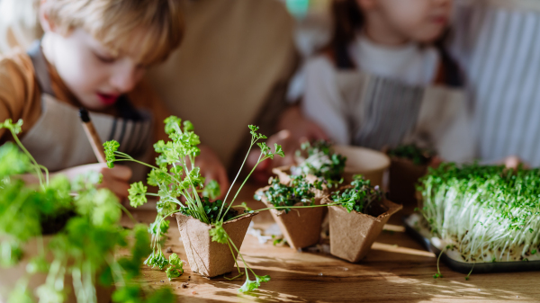 Close-up of family planting herbs together during spring.