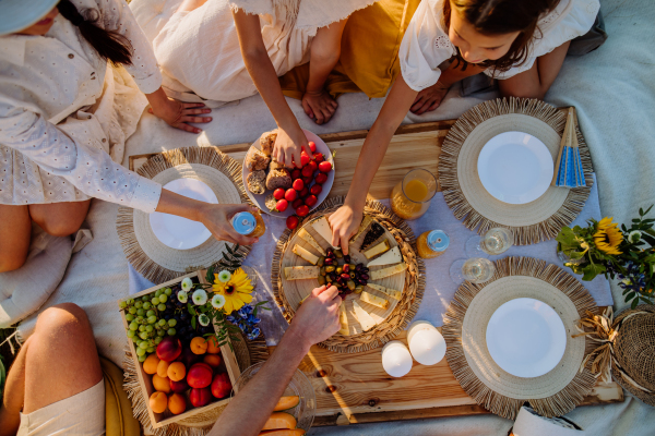 A happy family with children having picnic in park, parents with kids sitting eating healthy meals outdoors, top view