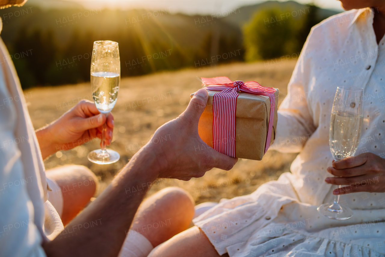 Close up of couple in love drinking wine and giving gift during the sunset.