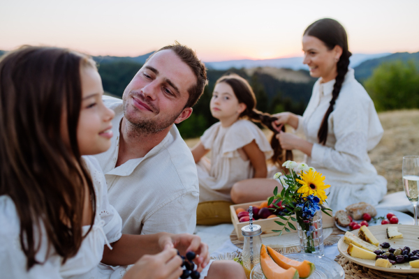 A happy family with children having picnic in park,celebrating, mother combing her daughter.