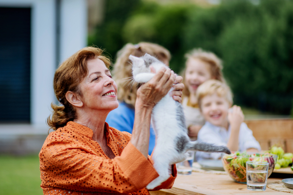 Happy grandma sitting and cuddling kitty cat at multigeneration garden party.