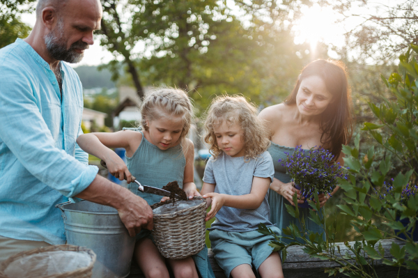 Happy family taking care of plants in the garden, trasnplanting flower to wicker flower pot. Concept of family bonding.