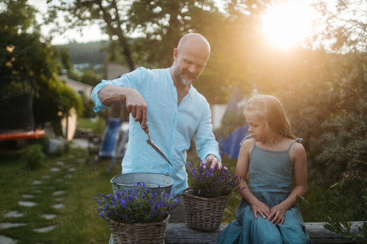 Father and daughter taking care of plants in the garden, trasnplanting flower to wicker flower pot. Dad and daughter spending quality time together, bonding.