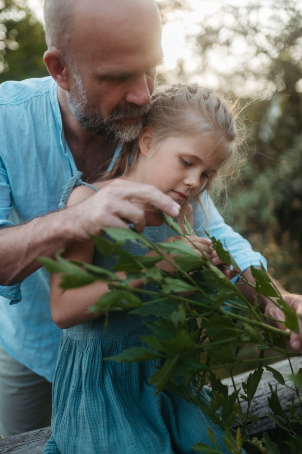 Father and daughter taking care of plants in the garden. Dad and girl spending quality time together, bonding.