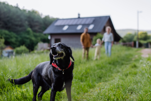 Family with their dog walking near their house with photovoltiacs panels on a roof.