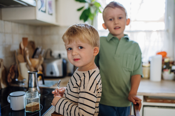 Boys helping in the kitchen. Family preparing breakfast in home kitchen in the morning. Spending time together before going to school and work.