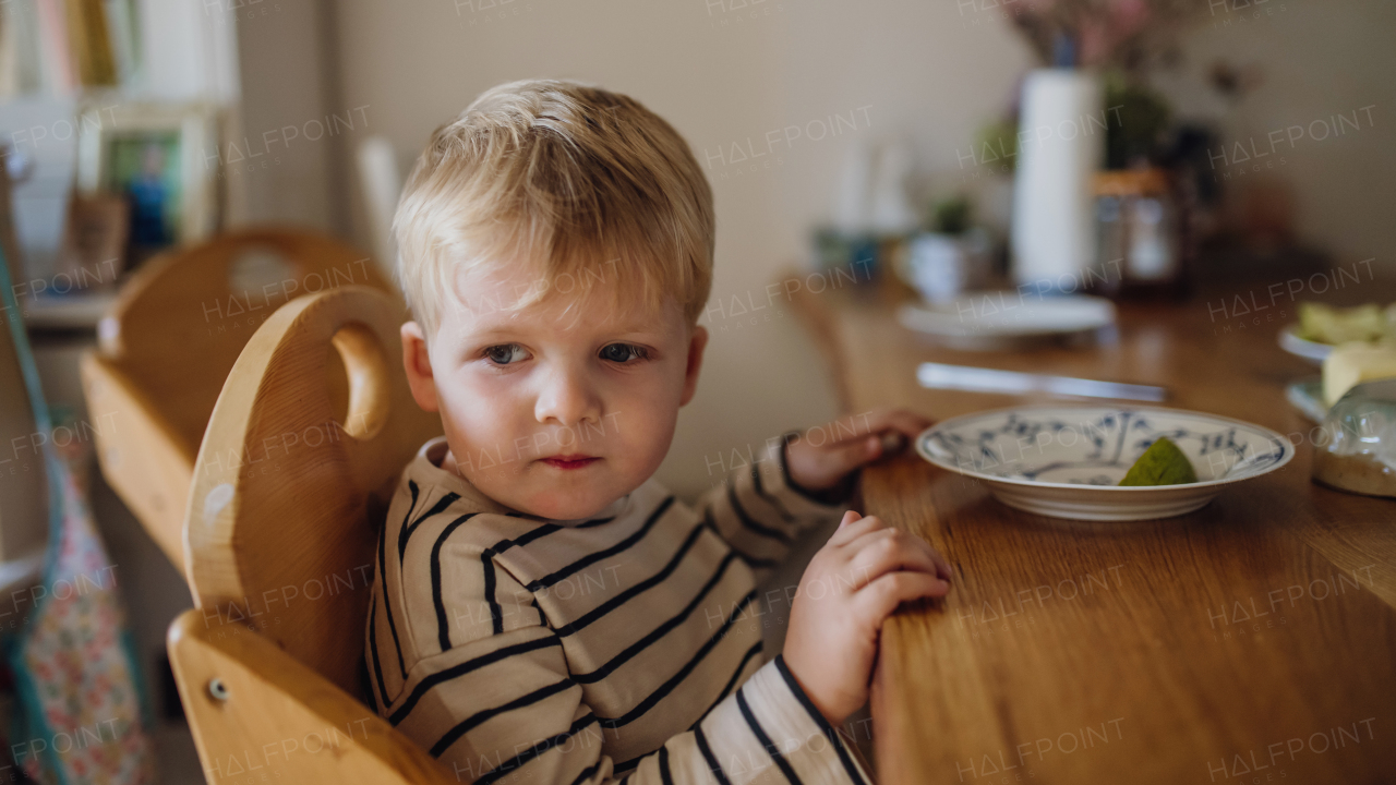 Little cute todller eating breakfast in high chair in home kitchen. Healthy breakfast or snack before day care, preschool.