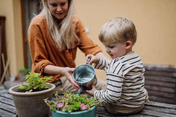 Mother and little son taking care of plants in the garden, replanting, watering flowers. Mom and boy spending quality time together, bonding.