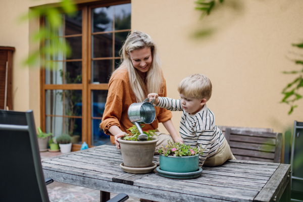 Mother and little son taking care of plants in the garden, replanting, watering flowers. Mom and boy spending quality time together, bonding.