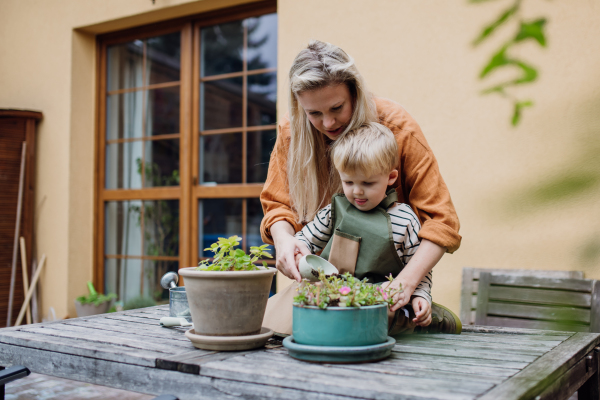 Mother and little son taking care of plants in the garden, replanting, watering flowers. Mom and boy spending quality time together, bonding.