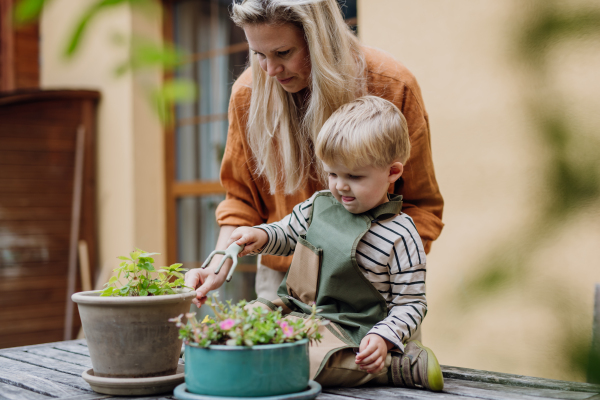 Mother and little son taking care of plants in the garden, replanting, watering flowers. Mom and boy spending quality time together, bonding.