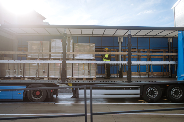 Side view of warehouse receiver standing inside of truck in cargo area, open trailer. Receiving clerk holding tablet, looking at cargo details, checking delivered items, goods against order.