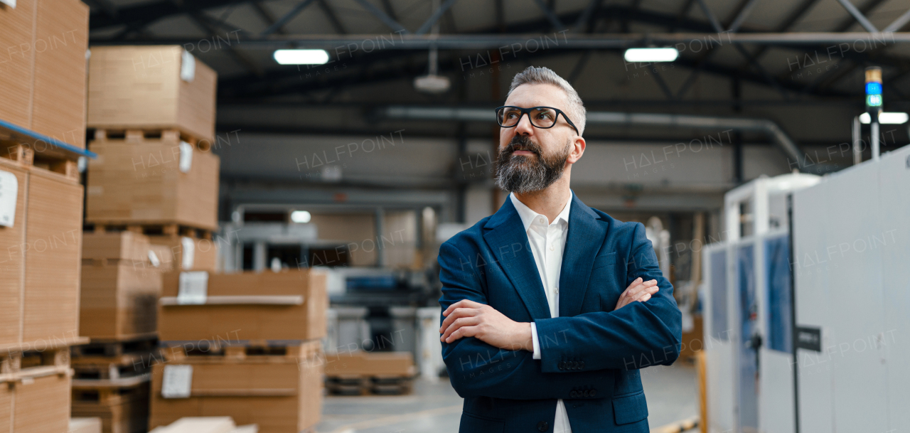 Banner with project manager standing in modern industrial factory. Manufacturing facility with robotics, robotic arms and automation. Storing products and materials in warehouse. Banner with copy space.