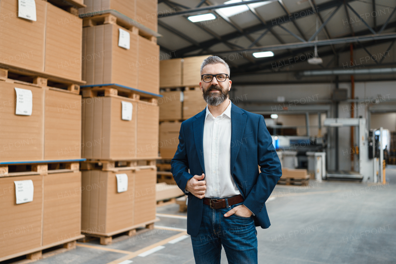 Production manager standing in modern industrial factory, controlling production process. . Manufacturing facility with robotics, robotic arms and automation.