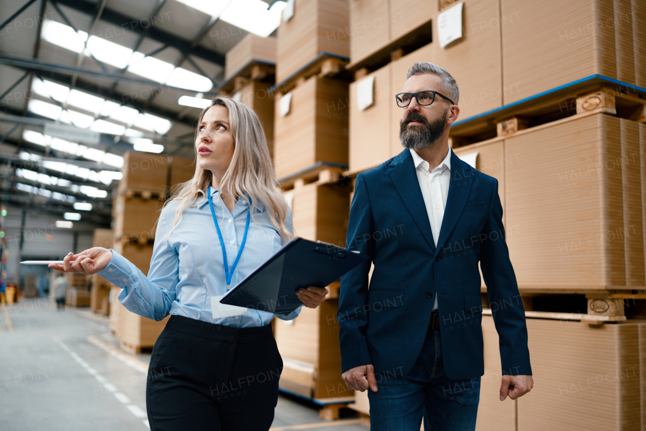 Female warehouse manager talking with logistics employee in warehouse, planning transport of products, goods, talking shipping process. Storing products and materials in warehouse.