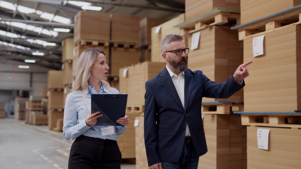 Female warehouse manager talking with logistics employee in warehouse, planning transport of products, goods, talking shipping process. Storing products and materials in warehouse.