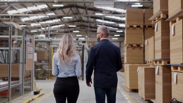 Rear view of female warehouse manager talking with logistics employee in warehouse, planning transport of products, goods, talking shipping process. Storing products and materials in warehouse.