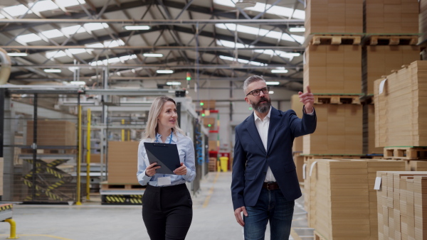 Female warehouse manager talking with logistics employee in warehouse, planning transport of products, goods, talking shipping process. Storing products and materials in warehouse.