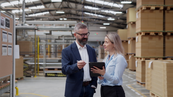 Female engineer and male project manager standing in modern industrial factory, talking about production. Manufacturing facility with robotics, robotic arms and automation.