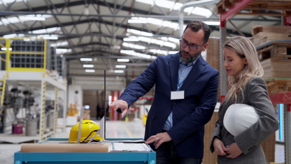 Rear view of female engineer and male supervisor standing in modern industrial factory, talking about production. Team management in manufacturing facility