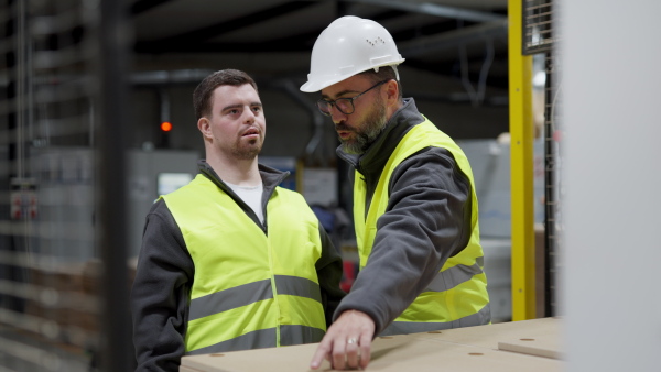 Young man with Down syndrome working in modern factory, colleague teaching him about his job, showing process. Concept of workers with disabilities, support in the workplace.