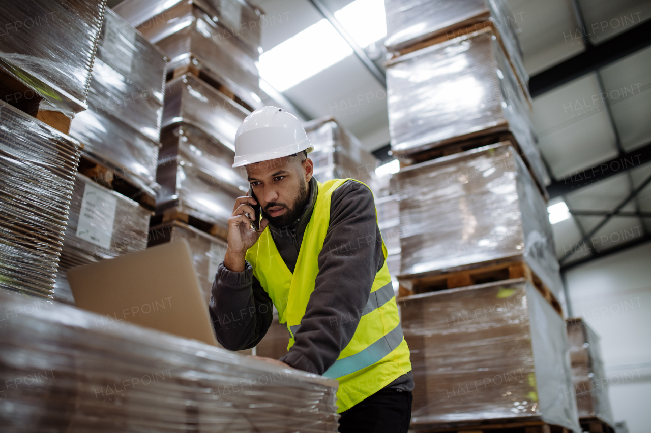 Portrait of warehouseman checking delivery, stock in warehouse on company pc, computer. Warehouse manager using warehouse management software, app.