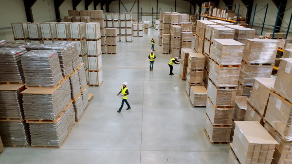 Top view of full team of warehouse employees walking in warehouse. Team of workers, managers and female director in modern industrial factory, heavy industry, manufactrury. Group portrait.