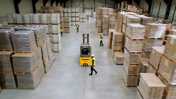 Top view of full team of warehouse employees walking in warehouse. Team of workers, managers and female director in modern industrial factory, heavy industry, manufactrury. Group portrait.